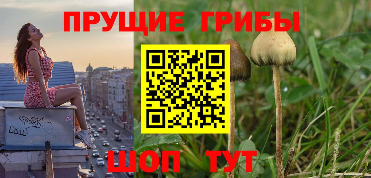 Галлюциногенные грибы GOLDEN TEACHER  Вход с VPN  Феодосия 